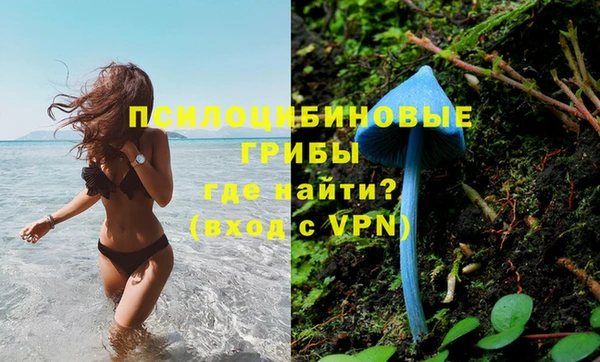 соль курить ск Алексеевка