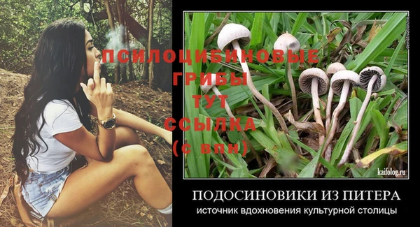 соль курить ск Алексеевка