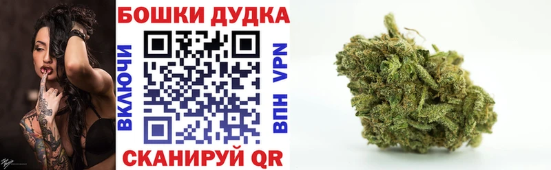 Конопля SATIVA & INDICA  как найти   Нелидово 